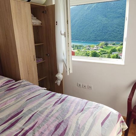 Apartman Dunja Plužine Extérieur photo